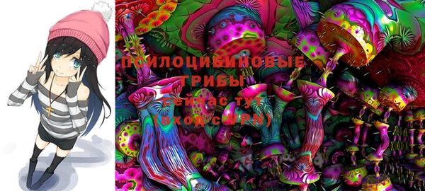 PSILOCYBIN Мегион