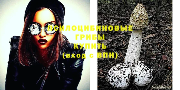 марки nbome Медвежьегорск