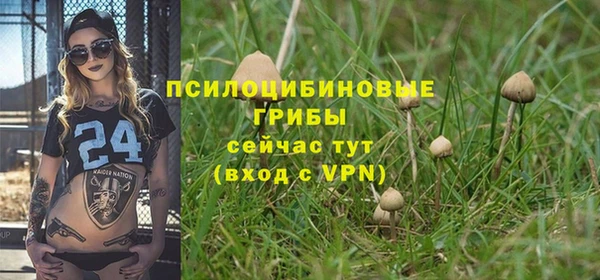 ALPHA-PVP Медногорск