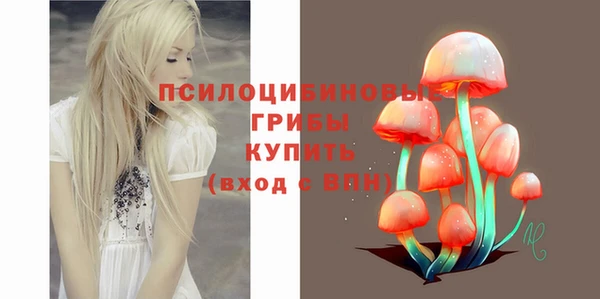 ALPHA-PVP Медногорск