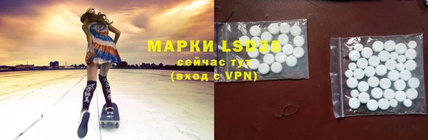 PSILOCYBIN Мегион