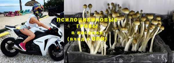 PSILOCYBIN Мегион