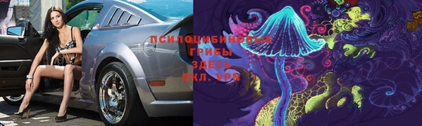 марки nbome Медвежьегорск