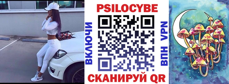 магазин продажи наркотиков  Саратов  Галлюциногенные грибы мицелий 