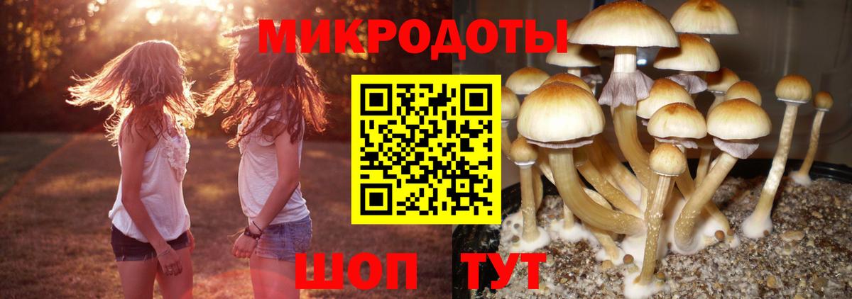 Саратов  Галлюциногенные грибы прущие грибы  Вход с VPN 